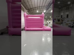 গোলাপী বাউন্সার ১০৩৫